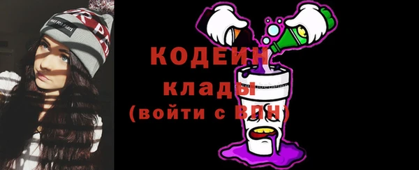 гидра Гатчина