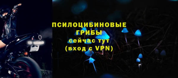 мескалин Краснослободск