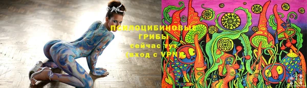 гидра Гатчина