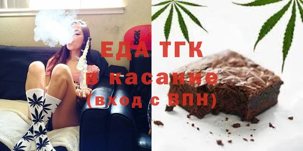 гидра Гатчина
