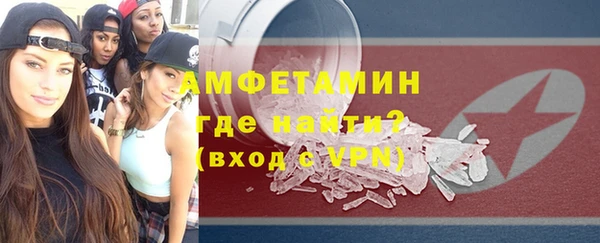 гидра Гатчина