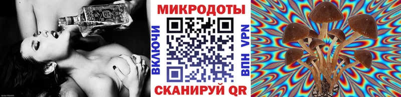 Псилоцибиновые грибы GOLDEN TEACHER  где найти   Лодейное Поле 